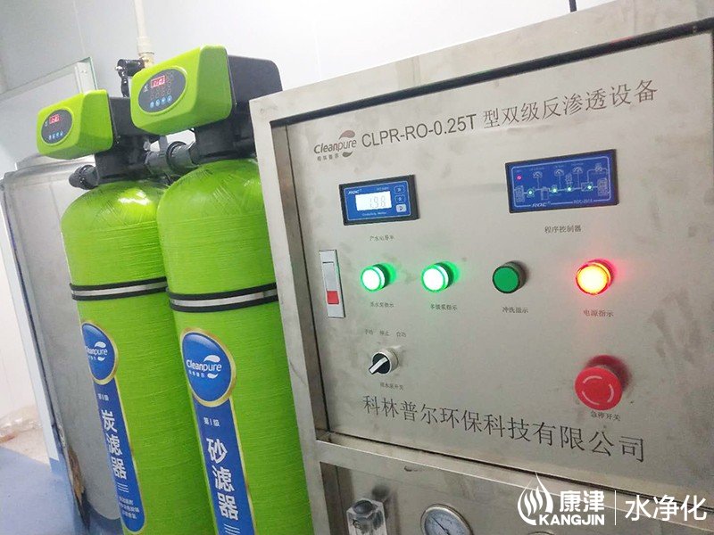  口罩廠(chǎng)0.25噸雙級反滲透純化水設備