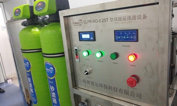 口罩廠(chǎng)0.25噸雙級反滲透純化水設備