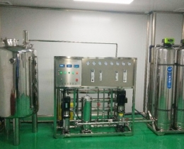 口罩車(chē)間0.5噸雙級反滲透純化水設備